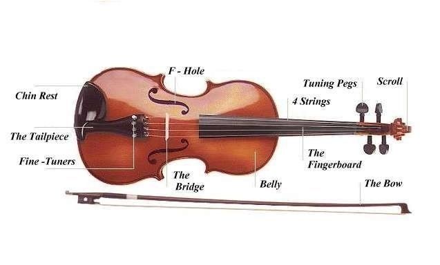 viol